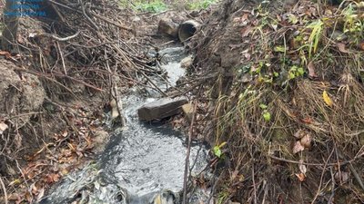У курорті на Львівщині завдали збитків на мільйони гривень