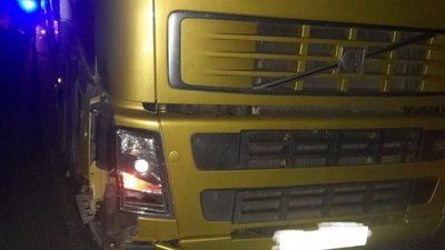 На Львівщині травмований керманич підводи