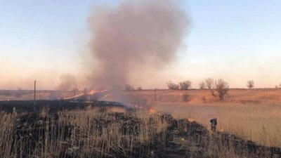 На Львівщині паліїв сухої трави виявляють рейдові групи