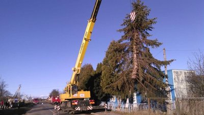 На Прикарпатті сильний вітер повалив дерева на будинки та дороги (ФОТО)