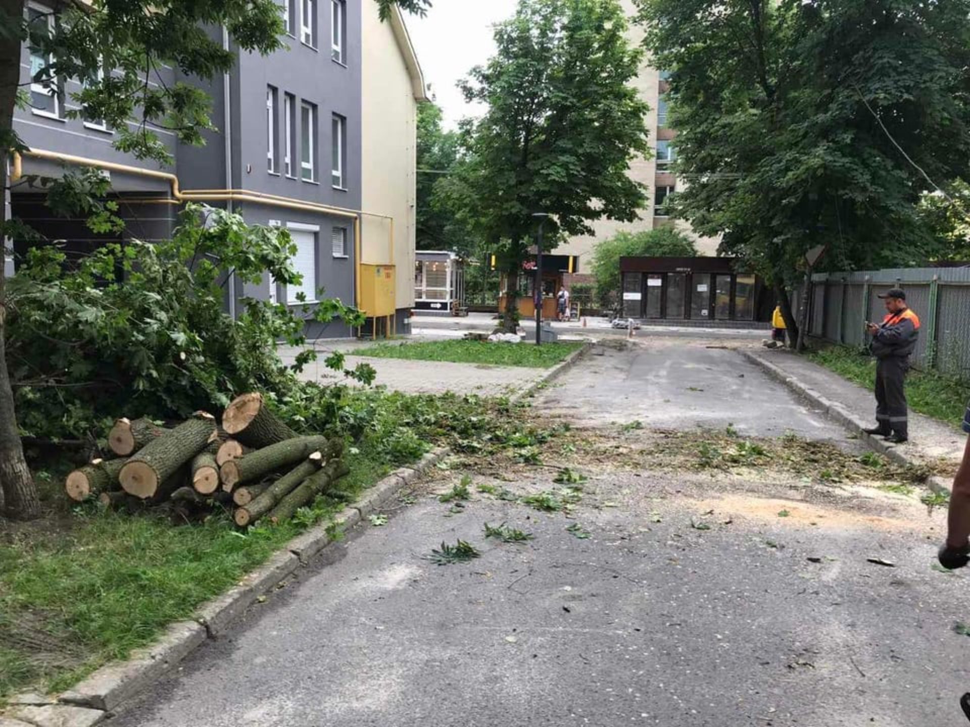 У Львові комунальні служби продовжують прибирати місто від наслідків негоди, фото ЛМР