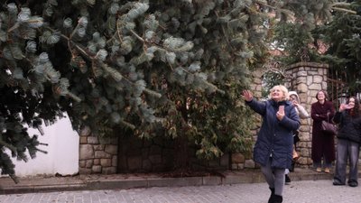 У Львові встановлюють ялинку