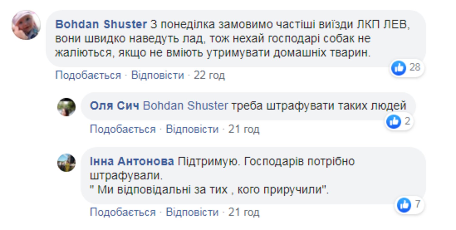Скриншот ФБ/Марія Ільчишин