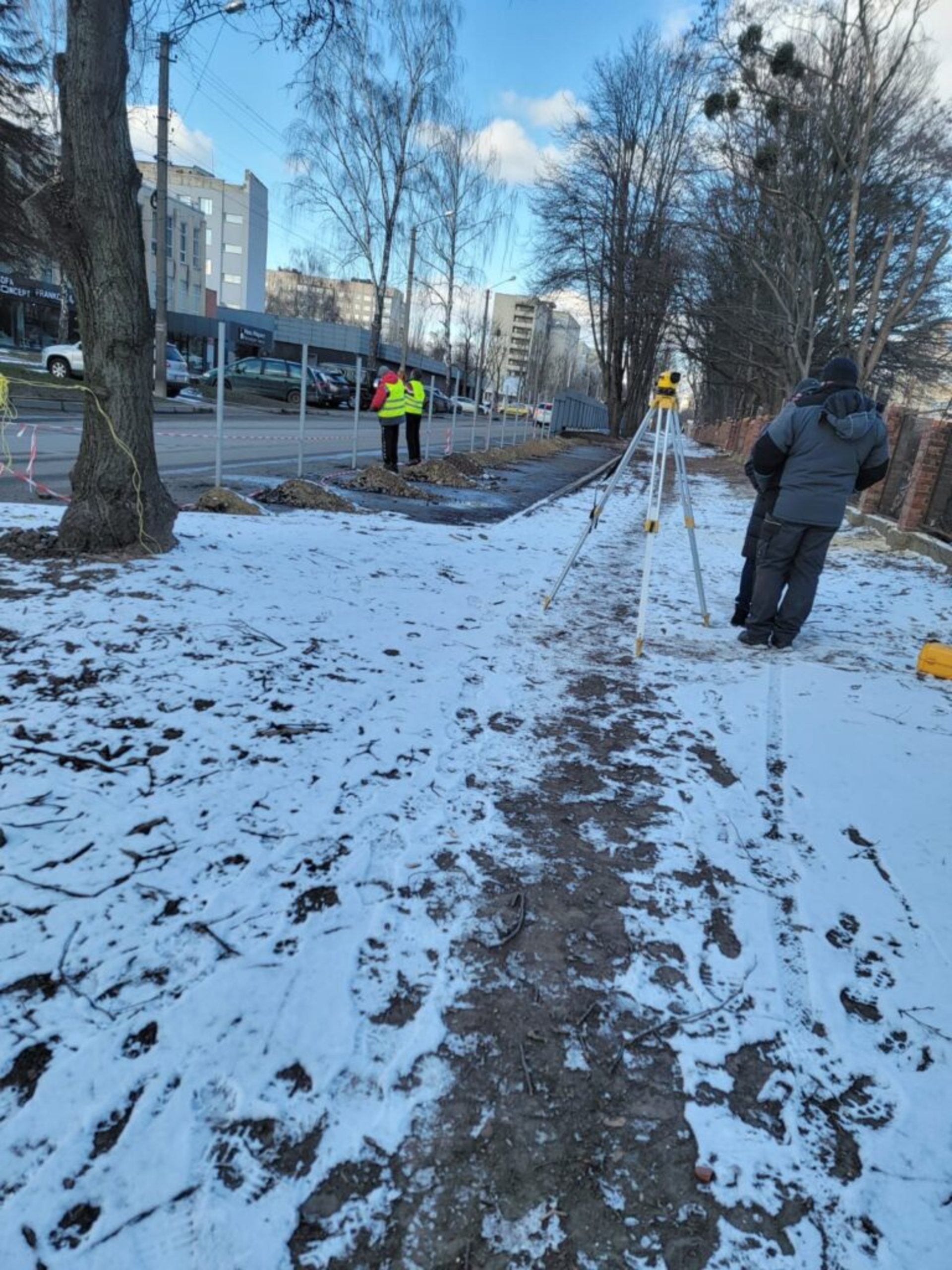 У Львові на місці скандального будівництва зрізали дерева, фото Четверта студія
