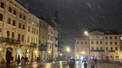У Львові випав сніг