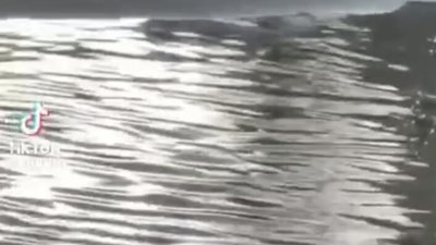 У Трускавці затопило вулиці (ВІДЕО)
