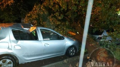 У Львові негода пошкодила автомобіль (ФОТО)