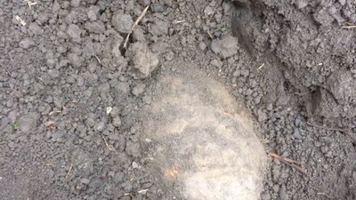 У Бродівському районі чоловік викопав біля власної садиби снаряд