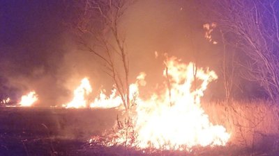 На Львівщині за минулу добу ліквідували 19 підпалів сухостою