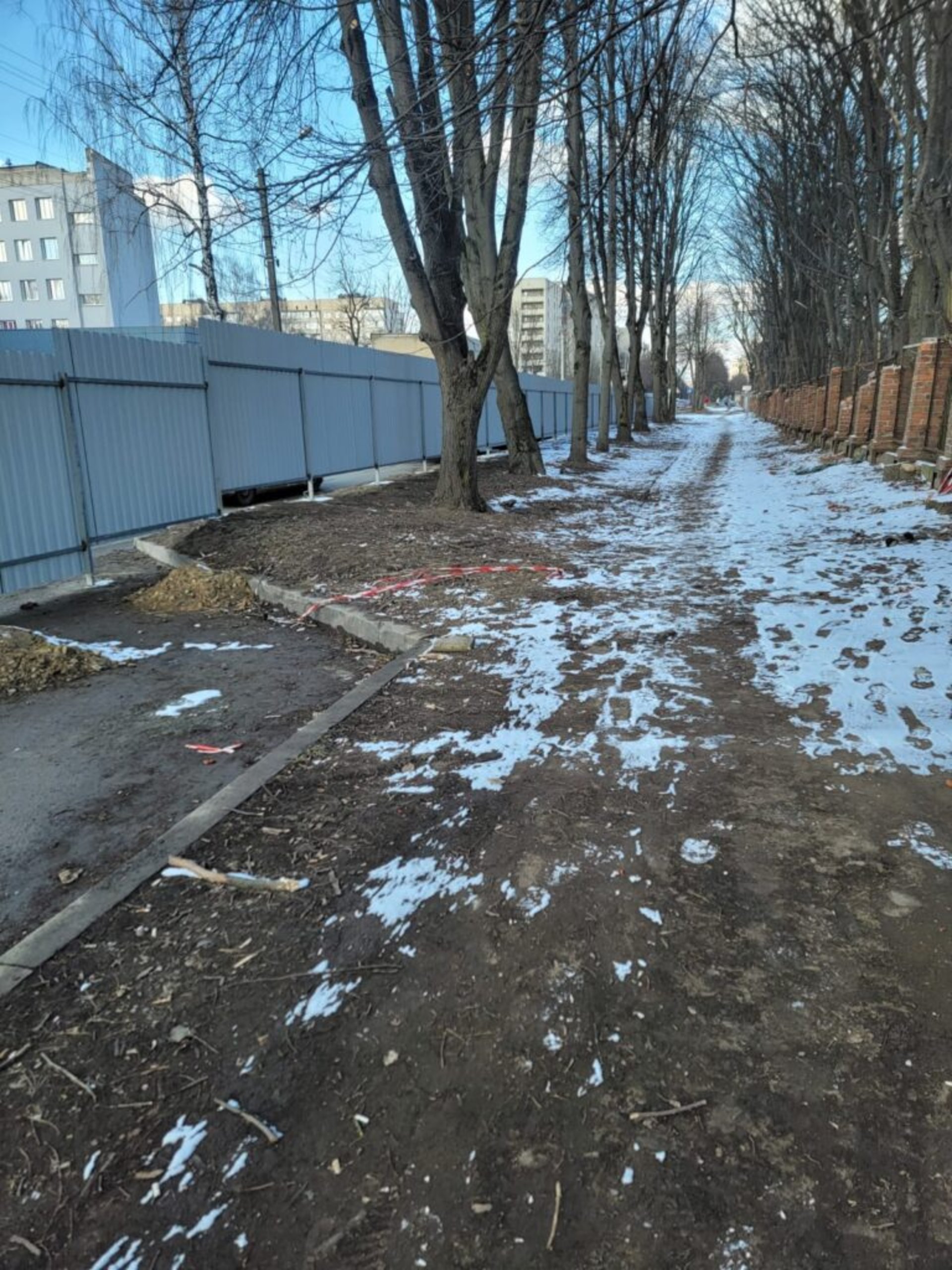 У Львові на місці скандального будівництва зрізали дерева, фото Четверта студія