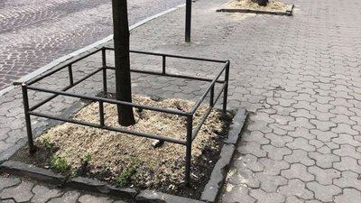 Фото дня: ноу-хау львівських комунальників