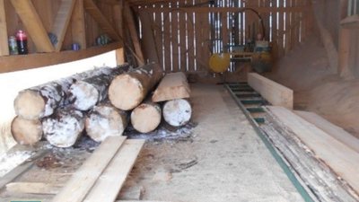 На Стрийщині припинено діяльність двох нелегальних пилорам