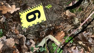 У Львові 42-річний чоловік за тисячу гривень продавав канабіс