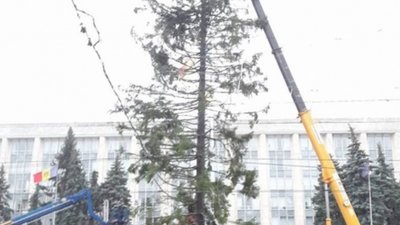 У центрі Кишинева встановили ялинку, яка шокувала мешканців столиці Молдови