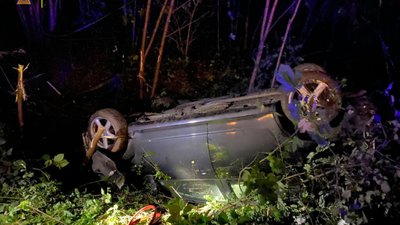 На Львівщині вночі автомобіль вилетів у кювет (ФОТО)