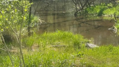 На Львівщині у 27 разів здешевили курортну землю (ФОТО, ВІДЕО)