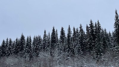 На Львівщині заблукали троє туристів