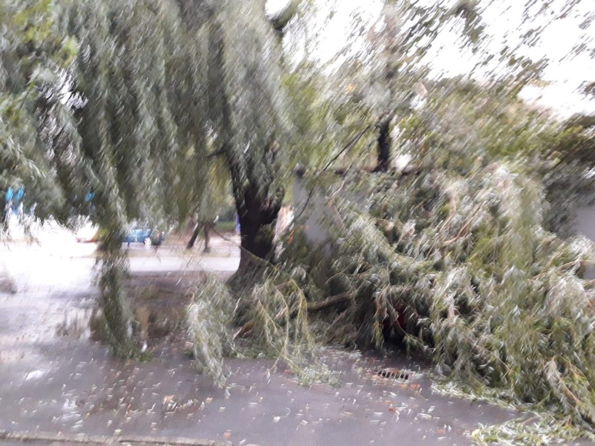 Фото: Варта-1/Галина Лагдан