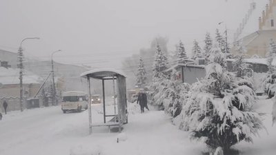 Львівщину накриває «великим снігом» (ФОТО, ВІДЕО)