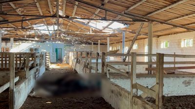 Варили і смажили кенгуру, страусів, бізона: російські окупанти з’їли тварин в українському зоопарку (ФОТО, ВІДЕО)