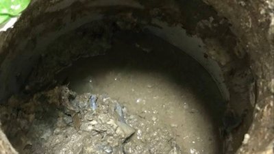 На Тернопільщині викопали архів ОУН (ФОТО)