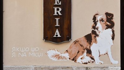 У Львові намалювали мурал в памʼять про собаку Каштанчика, який жив на площі Ринок