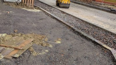 У Львові на вулиці Степана Бандери знищили дерева (ФОТО)