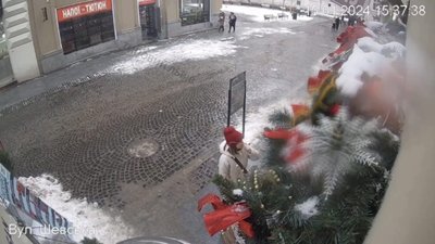 У центрі Львова сніг мало не вбив двох людей (ВІДЕО)