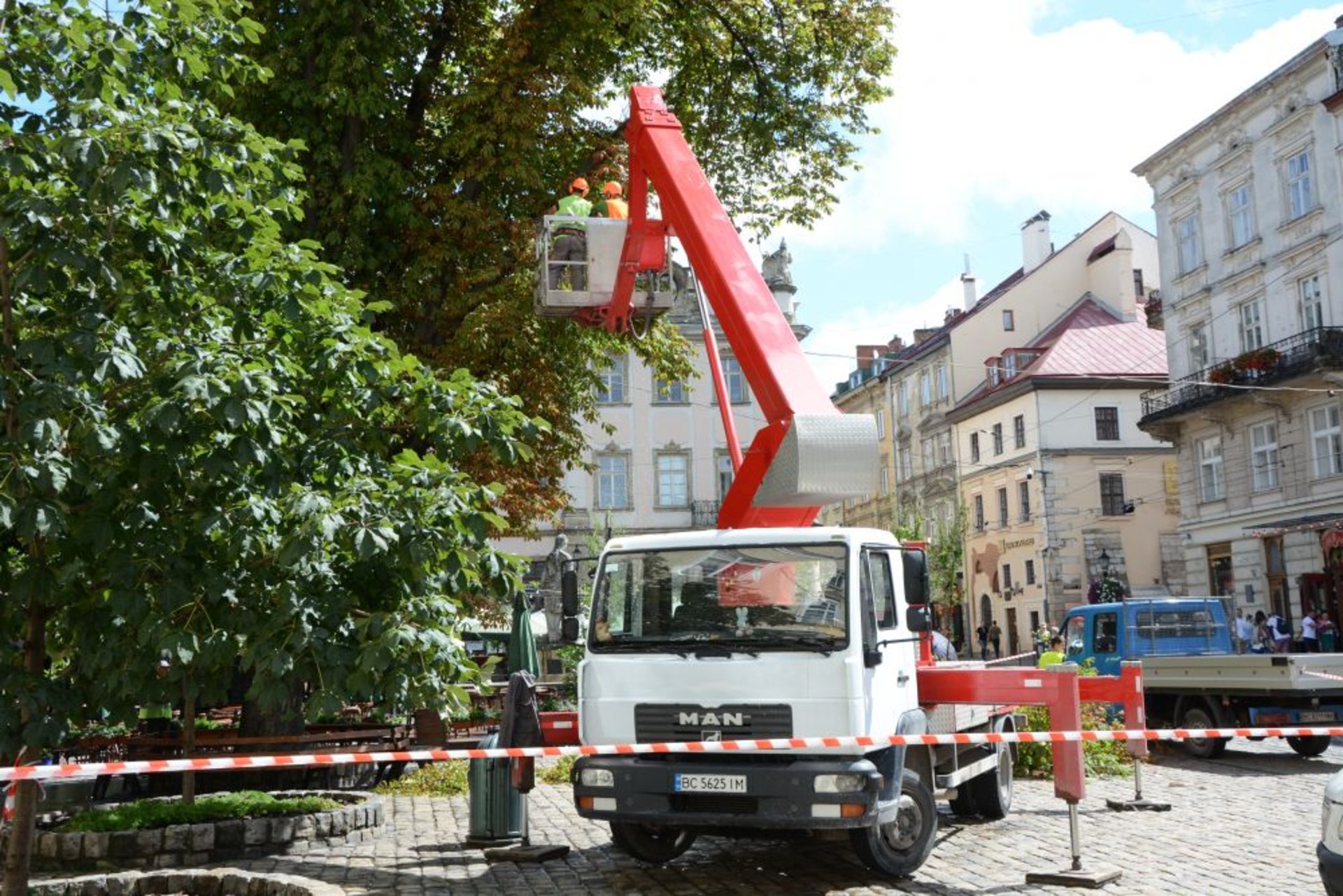У Львові на площі Ринок зрізали напівсуху липу та аварійні гілки каштана, фото ЛМР