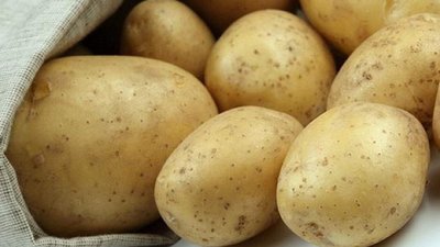 На Львівщині виготовлятимуть біоупаковку з картоплі