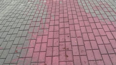 Представниця партії ЄС вилила червону фарбу біля входу у Львівську ОВА (ВІДЕО)