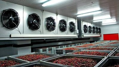 Польський концерн перенесе на Львівщину виробництво шокової заморозки плодів