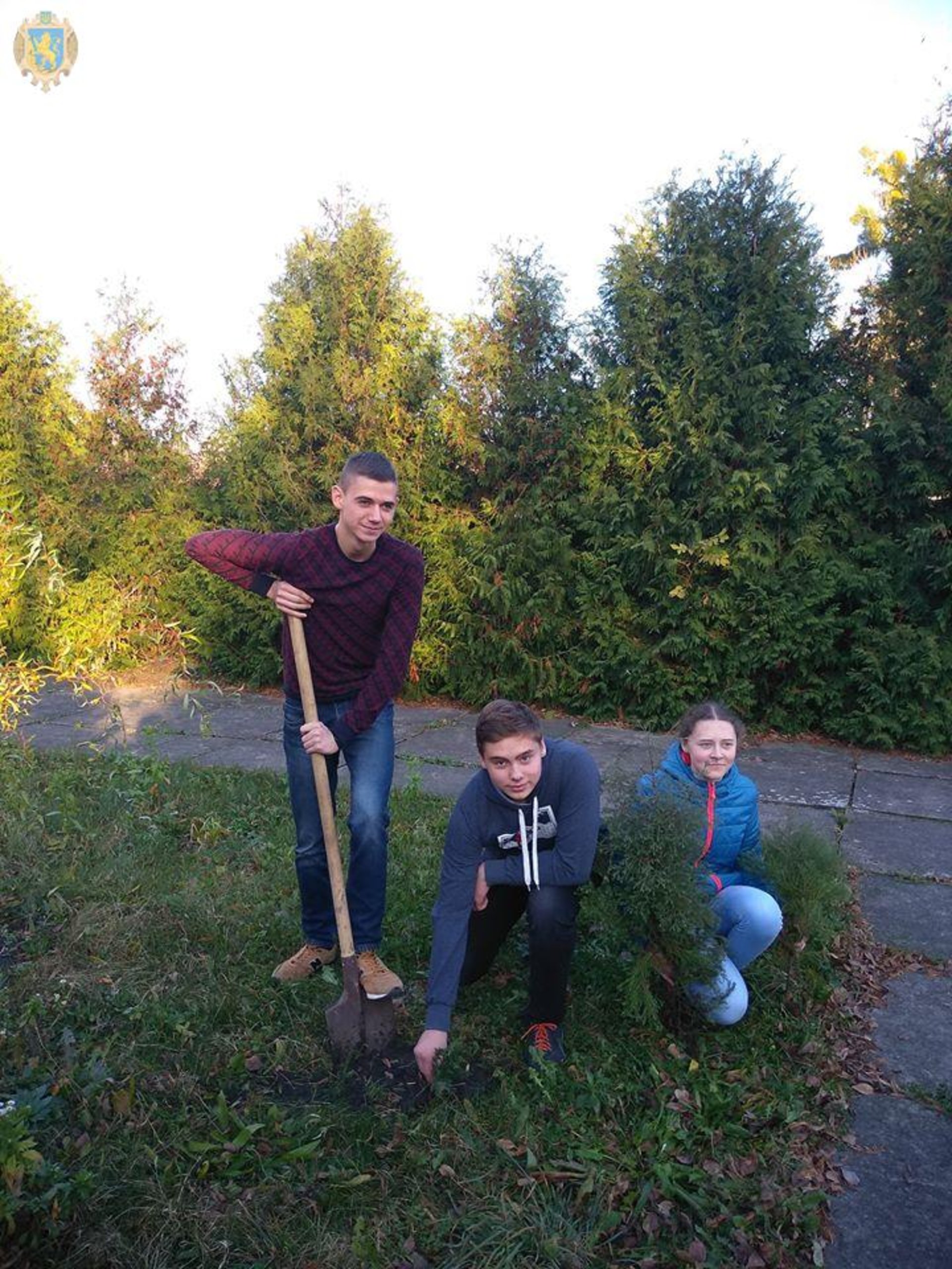 У Золочеві організували акцію «Посади дерево миру».