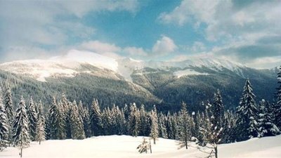 У горах Львівщини майже півдоби шукали зниклу дівчину