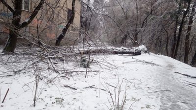 У Львові несподівано прийшла зима