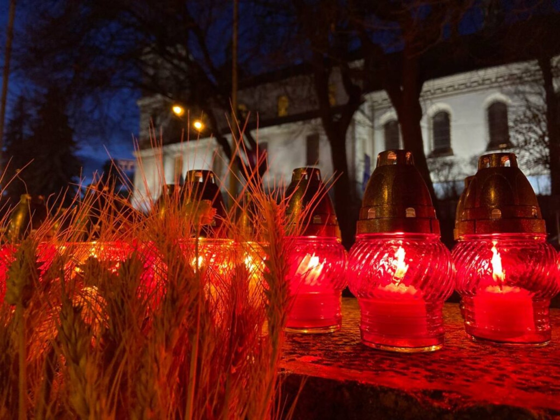 У Львові відбулась мовчазна хода у пам’ять про жертв Голодомору, фото Нацкорпусу