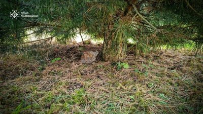 На Львівщині біля кордону з Польщею виявили гранату