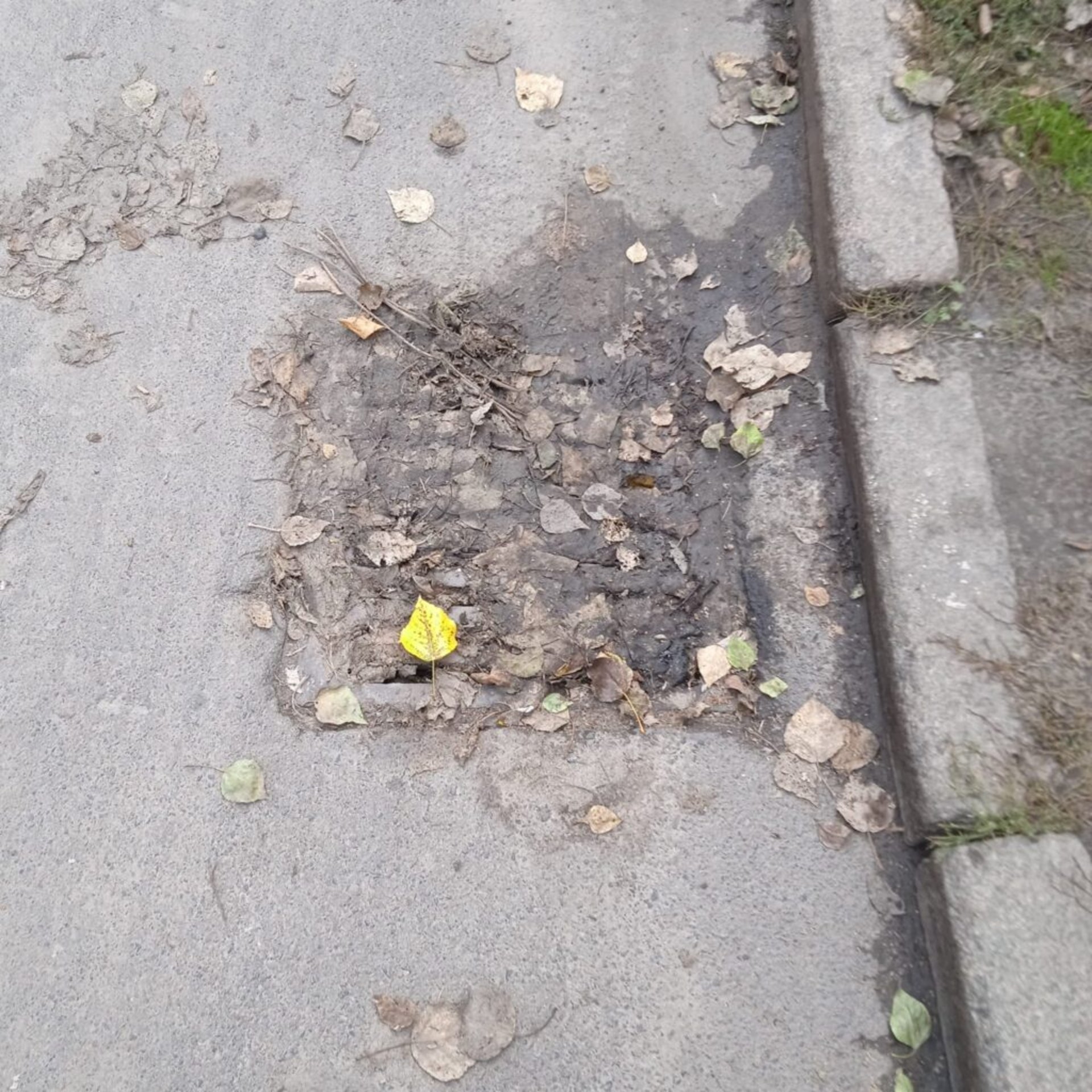 У Львові не чистять дощоприймачі
