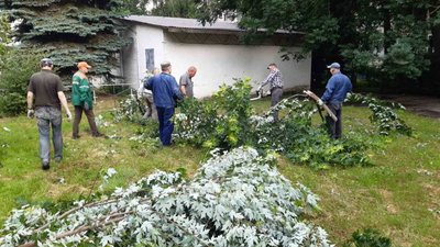 У Львові комунальники продовжують прибирати наслідки негоди, - мерія (ФОТО, ВІДЕО)
