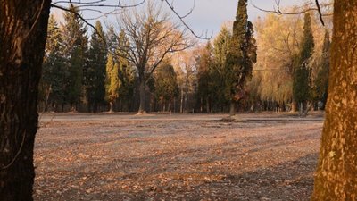 Де у Львові ховатимуть захисників