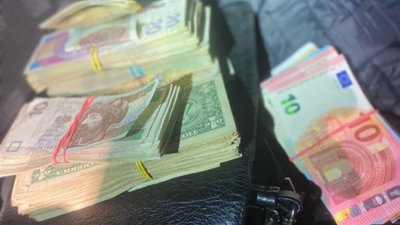 «Нелегал»: у Рава-Руській зупинили українця, який намагався вивезти 48 тисяч у валюті