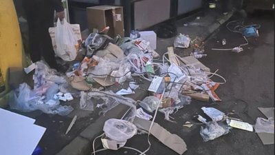 У Львові через антисанітарію завелись щурі (ФОТО)