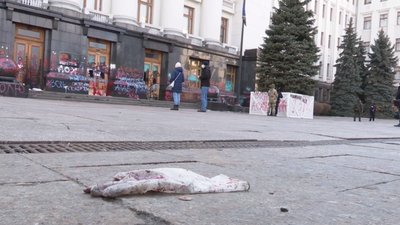 Пошкодження будівлі Офісу Президента оцінили у два мільйони гривень (ВІДЕО, ФОТО)
