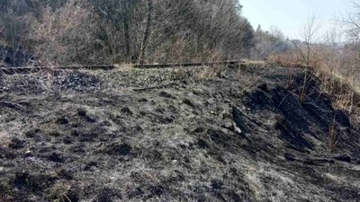 Як у Львові горіла заповідна територія парку "Знесіння" (ФОТО)