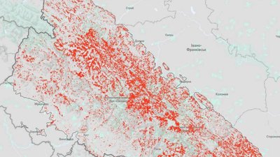У Карпатах вирубали майже 10% усього лісового покрову