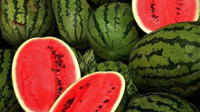 Де у Львові продаватимуть кавуни