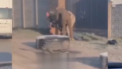 На Львівщині на вулиці добровільно мобілізували чоловіка (ВІДЕО)