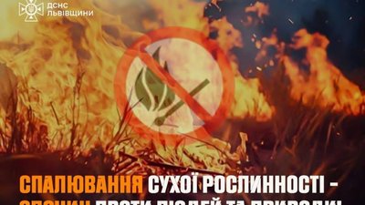 Львівщина страждає від пожеж в екосистемах