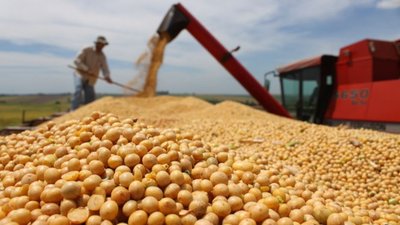 Шахраю, який купив сільськогосподарську продукцію і не розрахувався, присудили умовний термін