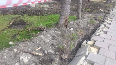 У Львові на проспекті Зубача знищують зелені насадження